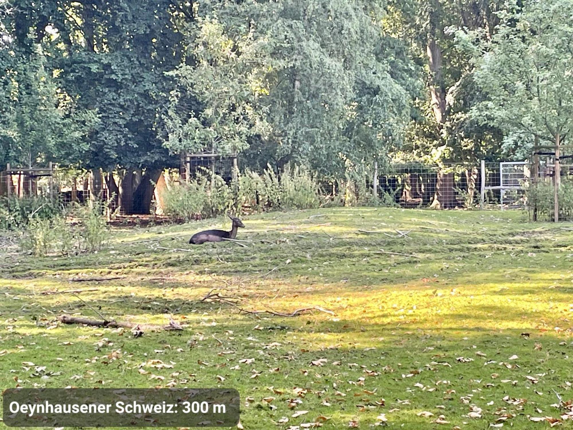 Kvartier2 In Top-Lage, 5 Min Zur Bali-Therme Und Gop, Hdz, Arbeitsplatz, Boxspringbett Bad Oeynhausen Luaran gambar